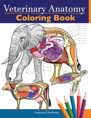 Veterinary Anatomy Coloring Book: Animals Physiology Self-Quiz Color Workbook for Studying and Relaxation Perfect gift For Vet Students and even Adult - Anatomy Academy
