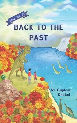 Back To The Past: (Dyslexie Font) Decodable Chapter Books - Cigdem Knebel