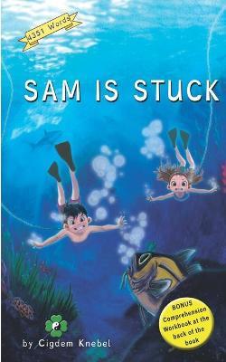 Sam Is Stuck: (Dyslexie Font) Decodable Chapter Books - Cigdem Knebel