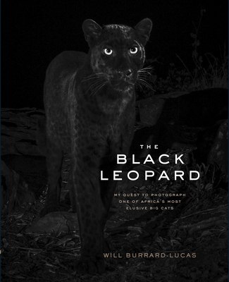 The Black Leopard: My Quest to Photograph One of Africa's Most Elusive Big Cats - Will Burrard-lucas