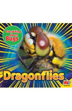 Coperta cărții 'Dragonflies - Aaron Carr'