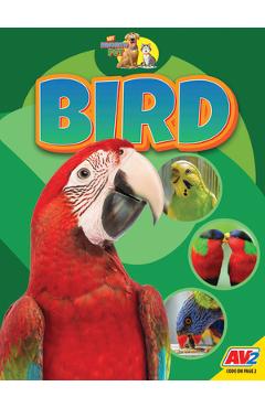 Coperta cărții 'Bird - Jared Siemens'