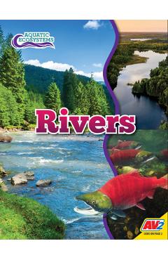 Coperta cărții 'Rivers - John Willis'