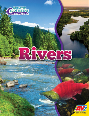 Coperta cărții 'Rivers - John Willis'