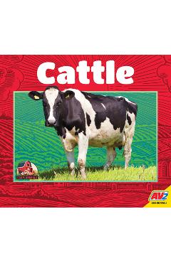 Coperta cărții 'Cattle - Kathleen Reitmann'