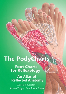 The PodyCharts Foot Charts for Reflexology: An atlas of reflected anatomy - Annie Trigg