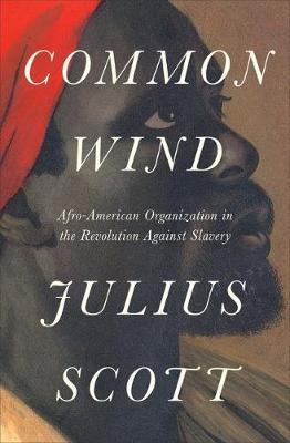 The Common Wind: Afro-American Currents in the Age of the Haitian Revolution - Julius S. Scott