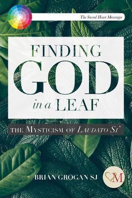 Finding God in a Leaf: The Mysticism of Laudato Si' - Brian Grogan