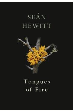 Tongues of Fire - Sen Hewitt