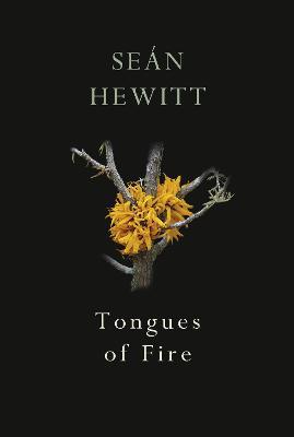 Tongues of Fire - Se�n Hewitt