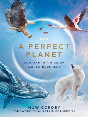 A Perfect Planet - Huw Cordey