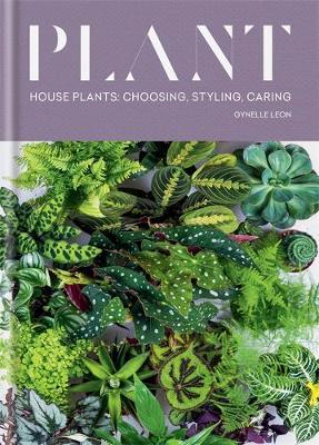 Plant: House Plants: Choosing, Styling, Caring - Gynelle Leon