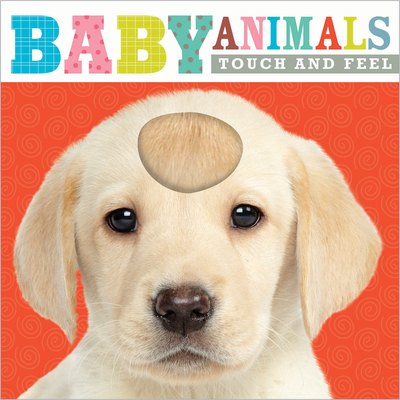 Touch and Feel Baby Animals - Thomas Nelson