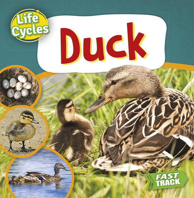 Duck - Nancy Dickmann