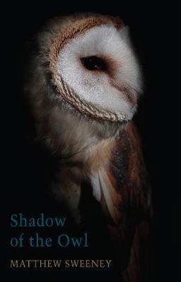 Shadow of the Owl - Matthew Sweeney