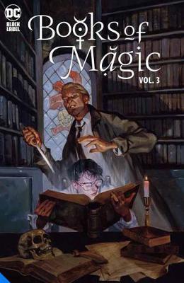 Books of Magic Vol. 3: Dwelling in Possibility - Kat Howard