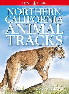 Northern California Animal Tracks - Ian Sheldon