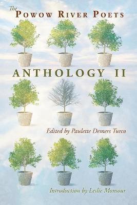 The Powow River Poets Anthology II - Paulette Demers Turco