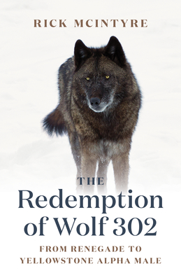 The Redemption of Wolf 302: From Renegade to Yellowstone Alpha Male - Rick Mcintyre