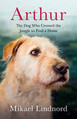 Arthur: The Dog Who Crossed the Jungle to Find a Home - Mikael Lindnord