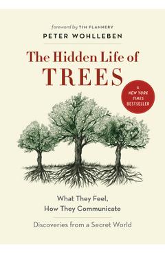Coperta cărții 'The Hidden Life of Trees: What They Feel, How They Communicate--Discoveries from a Secret World - Peter Wohlleben'
