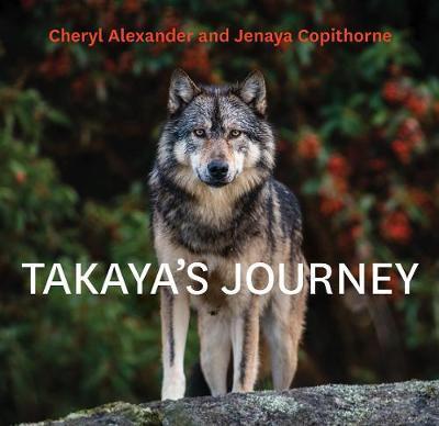 Takaya's Journey - Cheryl Alexander