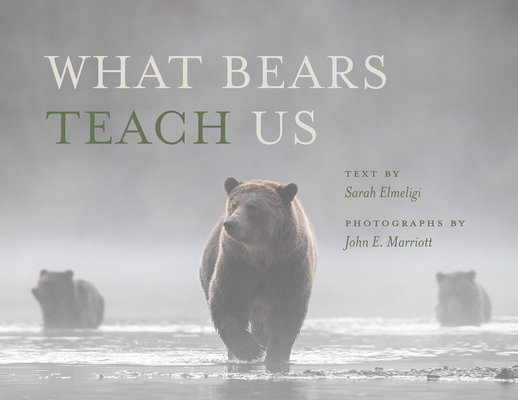 What Bears Teach Us - Sarah Elmeligi