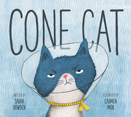 Cone Cat - Sarah Howden
