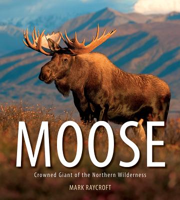 Moose: Crowned Giant of the Northern Wilderness - Mark Raycroft