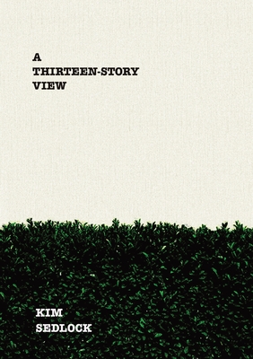Coperta cărții 'A Thirteen-Story View - Kim Sedlock'