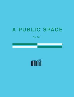 A Public Space No. 30 - Brigid Hughes