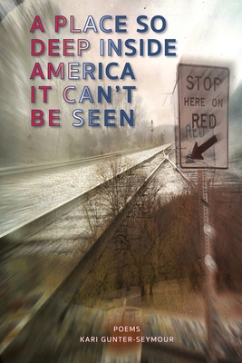 A Place So Deep Inside America It Can't Be Seen: Poems - Kari Gunter-seymour