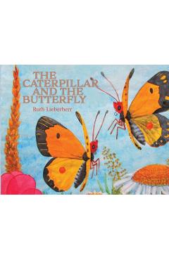 Coperta cărții 'The Caterpillar and the Butterfly - Ruth Lieberherr'