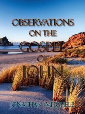 Observations on the Gospel of John - Jonathan Paul Mitchell