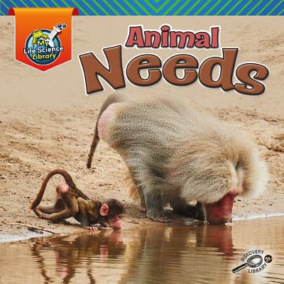 Animal Needs - Lisa Amstutz