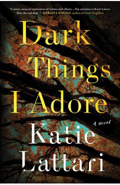 Coperta cărții 'Dark Things I Adore - Katie Lattari'