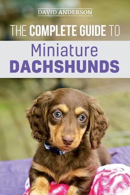 The Complete Guide to Miniature Dachshunds: A step-by-step guide to successfully raising your new Miniature Dachshund - David Anderson