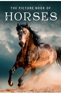 The Picture Book of Horses: A Gift Book for Alzheimer's Patients and Seniors with Dementia - Sunny Street Books
