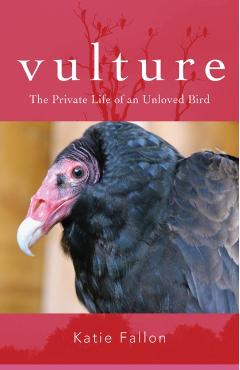 Vulture: The Private Life of an Unloved Bird - Katie Fallon