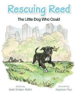 Rescuing Reed: The Little Dog Who Could - Heidi Mottin