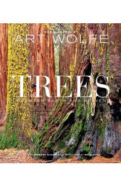 Trees (Gift Edition): Between Earth and Heaven - Art Wolfe