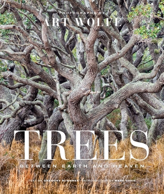 Trees (Gift Edition): Between Earth and Heaven - Art Wolfe