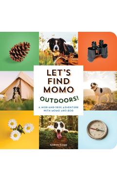 Let's Find Momo Outdoors!: A Hide-And-Seek Adventure with Momo and Boo - Andrew Knapp