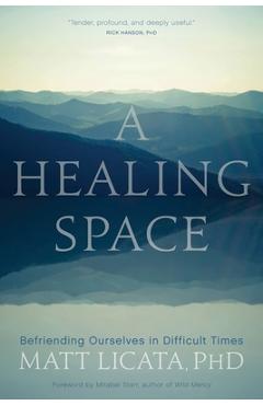 Coperta cărții 'A Healing Space: Befriending Ourselves in Difficult Times - Matt Licata'