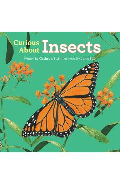 Coperta cărții 'Curious about Insects - Cathryn Sill'