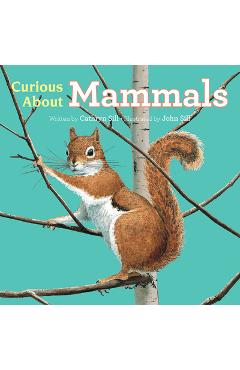 Coperta cărții 'Curious about Mammals - Cathryn Sill'