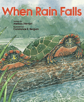 When Rain Falls - Melissa Stewart