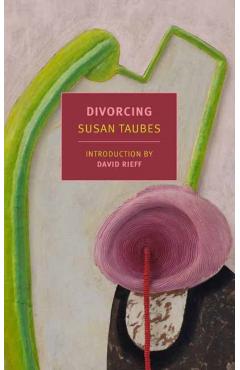Divorcing - Susan Taubes