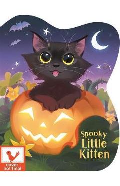 Coperta cărții 'Spooky Little Kitten - Rachel Foo'