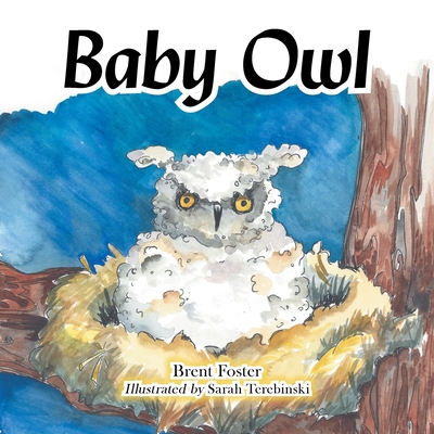 Baby Owl - Brent Foster
